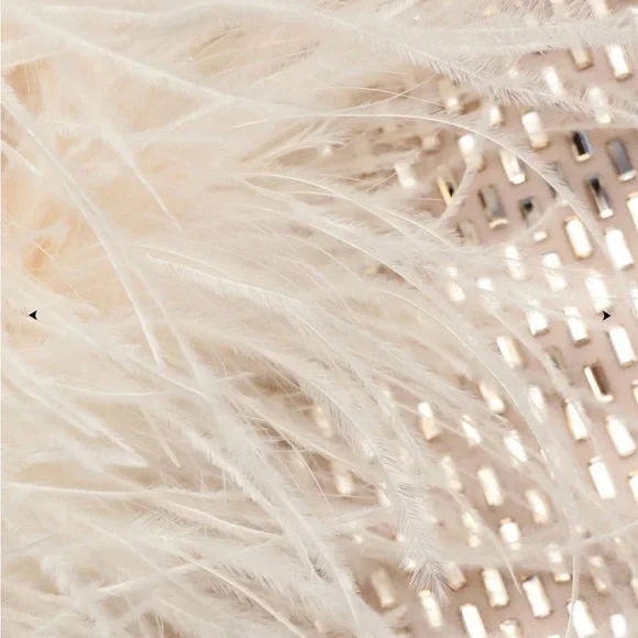 Self-Portrait, CHAMPAGNE RHINESTONE FEATHER TOP - Picture 8 of 17